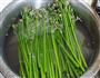 酒糟炒蕨菜的做法图解3
