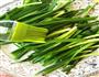 五分钟快手烤韭菜的做法图解3