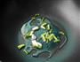 油焖春笋的做法图解5