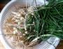 腌制小山蒜的做法图解1