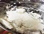 芋圆的做法图解4