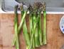 芦笋虾仁的做法图解2