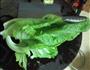 咸蛋芥菜瘦肉汤的做法图解1
