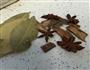 初夏吃兔肉-家常兔丁的做法图解4