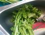 芹菜叶-清香降火的做法图解1