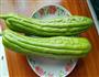 酿苦瓜的做法图解1