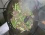 蒜苔炒肉的做法图解3