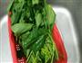菠菜拌粉皮的做法图解2