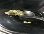 蔬菜鸡胸肉丸的做法图解3