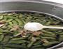 盐水毛豆的做法图解4