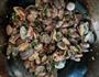 辣炒蛤蜊的做法图解6