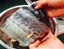鲅鱼水饺的做法图解2