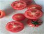 西红柿烤蛋布丁的做法图解2