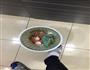 十二道、豪味的做法图解1
