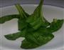 手擀菠菜面条的做法图解1