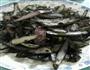 墨鱼炒洋葱的做法图解7