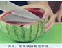 西瓜果冻的做法图解8