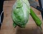 酸辣包菜丝的做法图解1