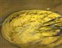 香酥椰蓉饼的做法图解3