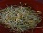 豆饼炒豆芽的做法图解1