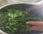 芹菜疙瘩的做法图解4