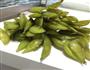 盐渍毛豆的做法图解2