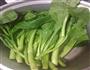 白灼菜心的做法图解1