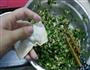 雪里红大馄饨的做法图解10