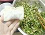 雪里红大馄饨的做法图解9