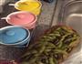 话梅毛豆的做法图解1