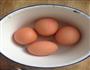 西红柿炒鸡蛋的做法图解1