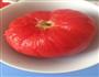 番茄炖蛋的做法图解2