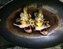 黄骨鱼豆腐汤的做法图解4