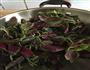 清炒红菜苔的做法图解4
