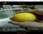 柠檬水的做法图解1