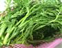 蒜泥茼蒿的做法图解1