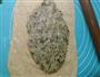 咸味饼干中的佼佼者-全麦海苔酥条的做法图解6