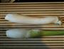 蚝油茭白炒杏鲍菇的做法图解1