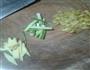 青椒牛肉的做法图解1