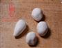 六一礼物早准备-椰蓉小耗子的做法图解5