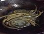 盘龙黄鳝的做法图解3