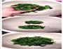香辣凉拌菠菜的做法图解6