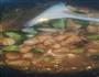 宫保鸡丁的做法图解11