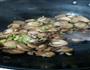 蚝油肉末草菇的做法图解4