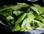 砂锅油麦菜的做法图解1