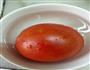 健康营养西红柿蒸水蛋的做法图解1