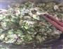 芹菜猪肉馄饨的做法图解1