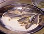 东北炸小黄花鱼简单款的做法图解4