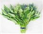 腐乳空心菜的做法步骤1