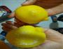 柠檬蜜-充满维C的诱惑的做法图解1